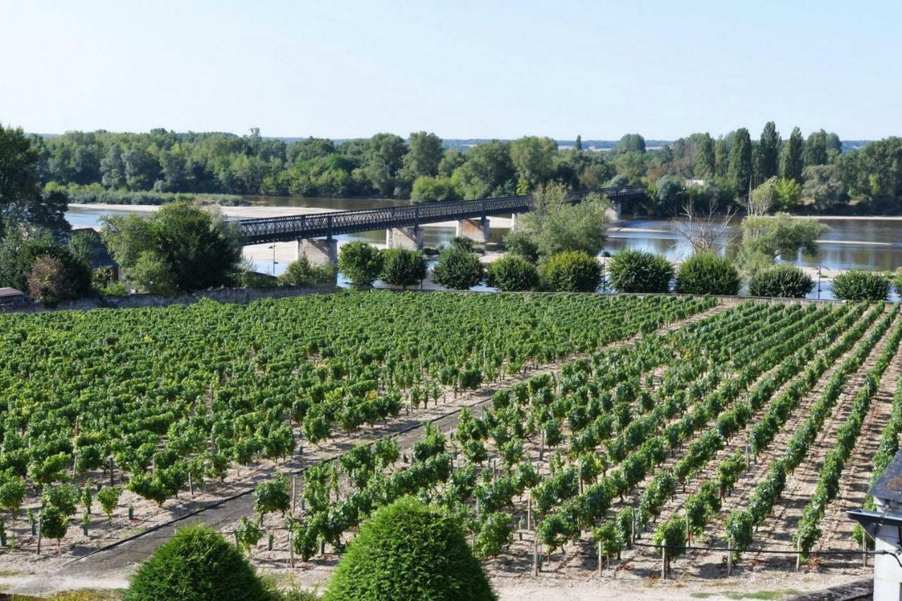 Gite Des Chaumiennes بويي-سور-لوار المظهر الخارجي الصورة
